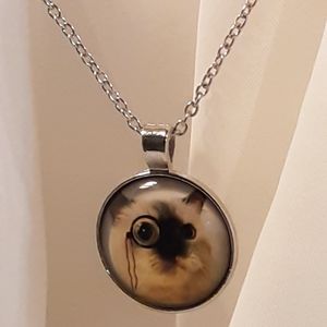 (G25) Cat with Specs Necklace 1" Silver Cabochon glass dome 16" chain